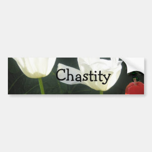 Chastity Bumper Sticker