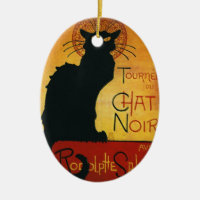 Chat Noir - Black Cat