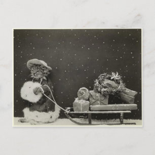 Chat traineau noël postcard