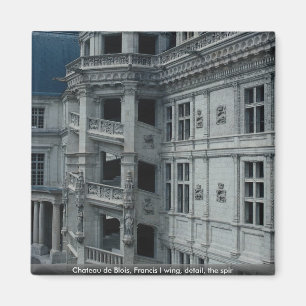 Chateau de Blois, Francis I wing, detail, the spir Magnet