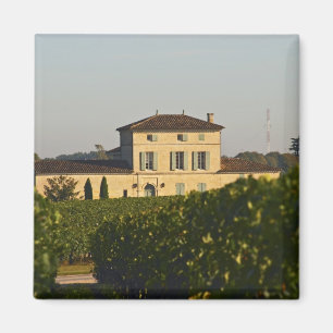 Chateau Lafleur Petrus and vineyard, in Pomerol, Magnet