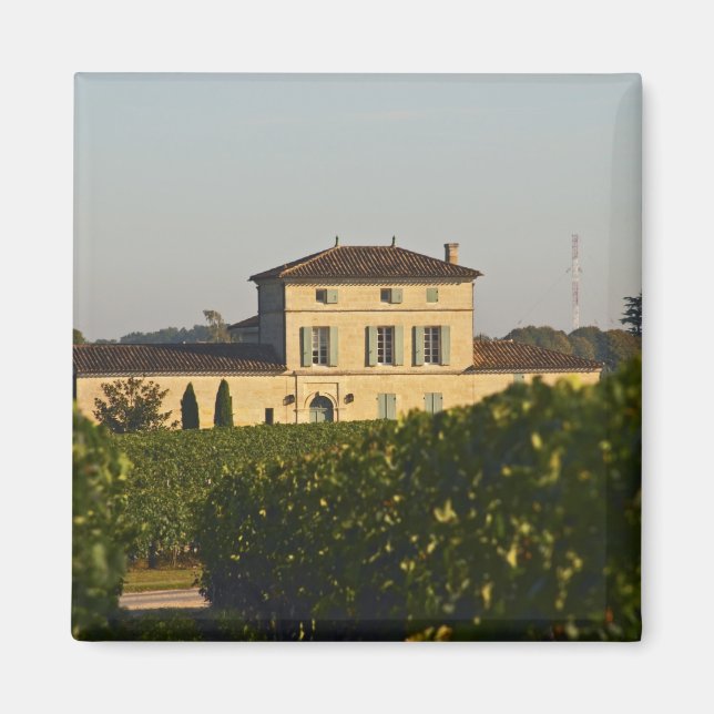 Chateau Lafleur Petrus and vineyard, in Pomerol, Magnet (Front)