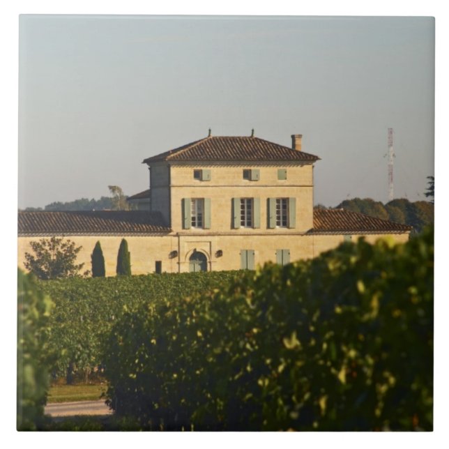 Chateau Lafleur Petrus and vineyard, in Pomerol, Tile (Front)