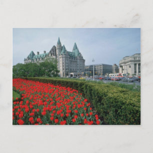 Chateau Laurier Hotel, Ottawa flowers Postcard