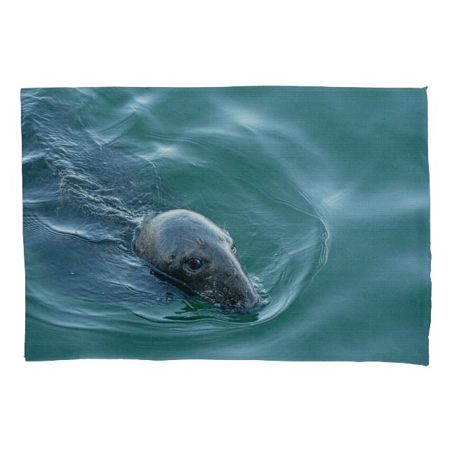 Chatham Grey Seal on Mission Pillowcase (Front)