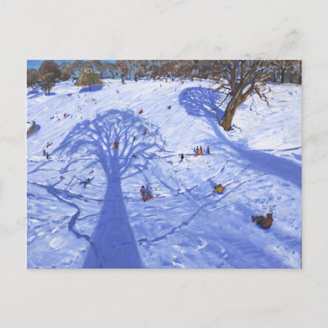 Chatsworth winter tree shadows 2013 postcard (Front)