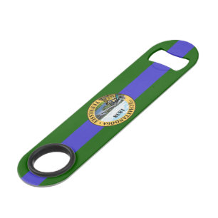 Chattanooga (Tennessee) City flag