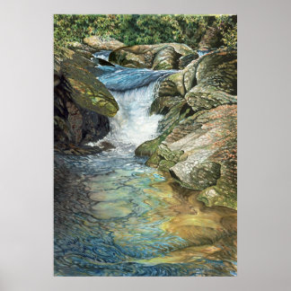 Chattooga River Poster