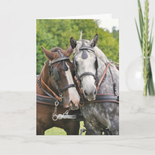Chatty horses birthday card