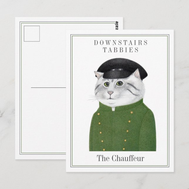 CHAUFFEUR CAT Postcard  (Front/Back)