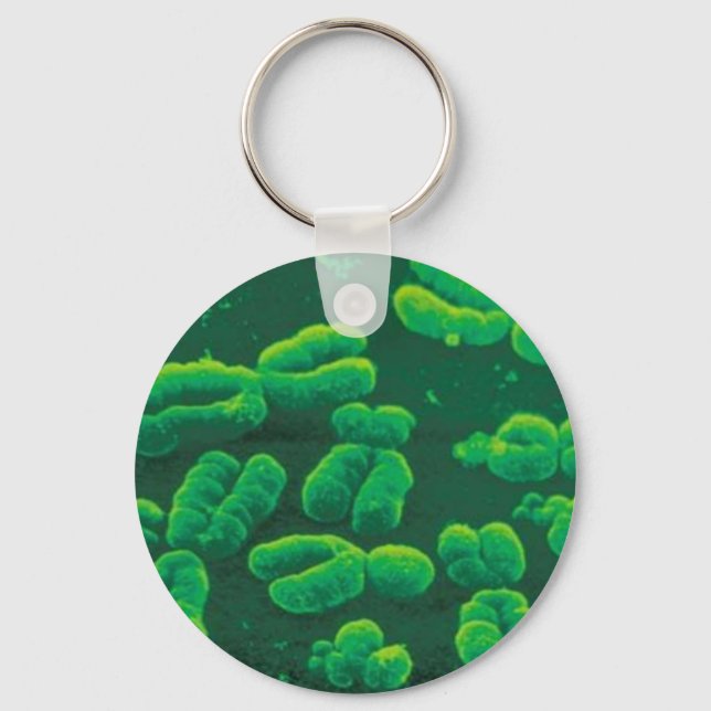 Chaveiro cromossomos key ring (Front)