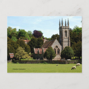 Chawton Hampshire - Sheep beside Church Postcard