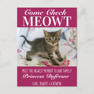 "Check Meowt" New Cat Announcement Purple Postcard