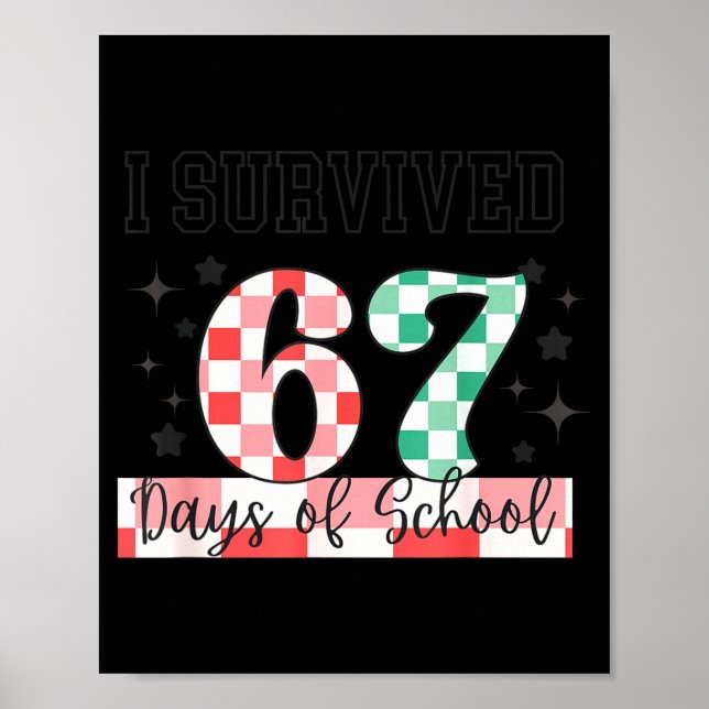 Checkered I Survived 67 Days Of School Meme Teache Poster (Front)