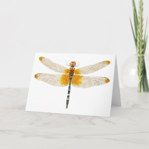 Checkered Setwing Dragonfly Watercolor Card