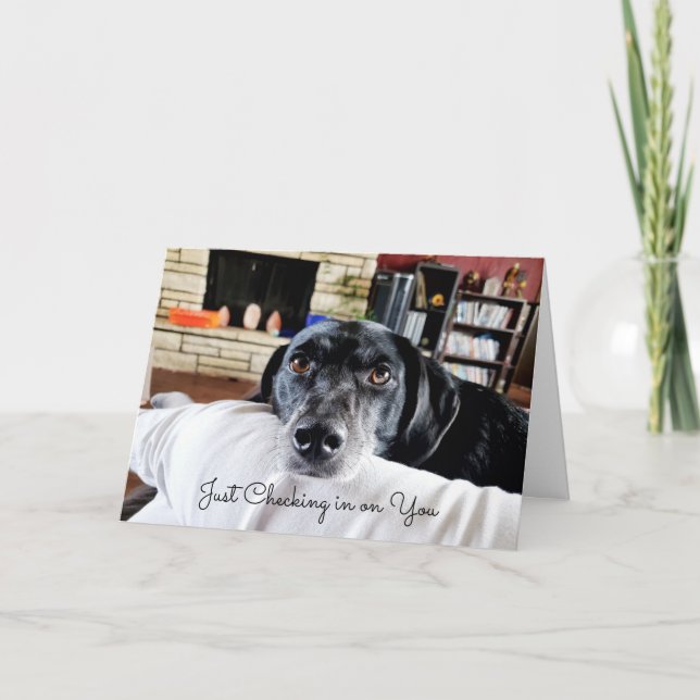 Checking in on You | Cute Dog Personalised  Card (Front)