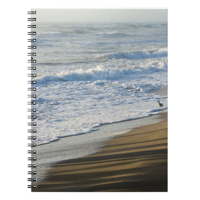 Checking The Shoreline Notebook (Front)
