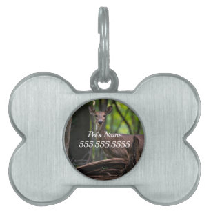 Checking You Out Pet ID Tag
