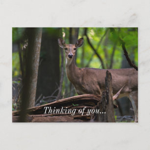 Checking You Out Postcard