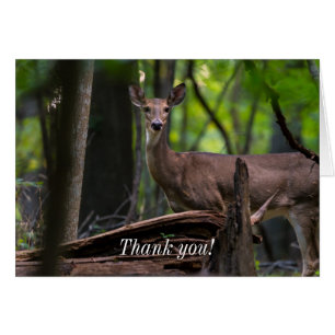 Checking You Out Thank You Card