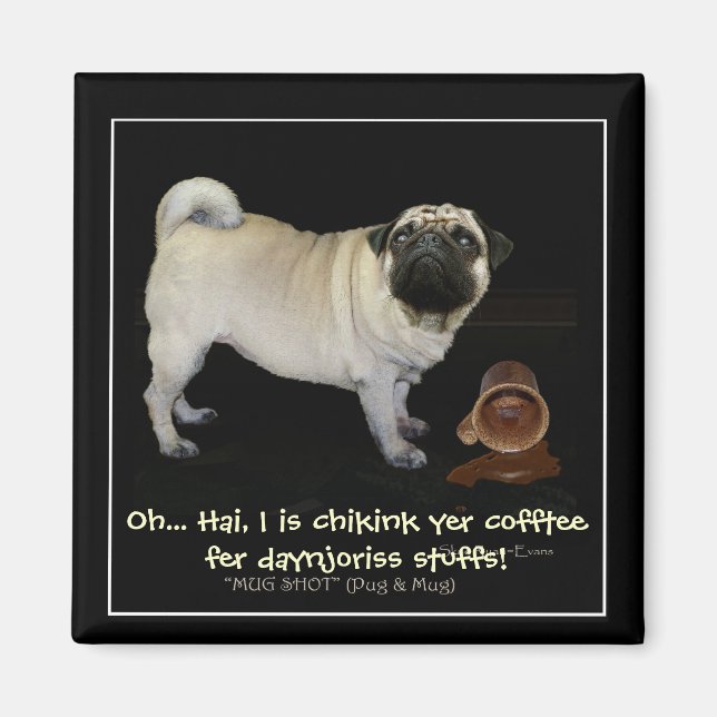 "Checking your Coffee..." fun Magnets (Front)