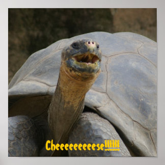 Cheeeeeeeeese!!!!!! Poster