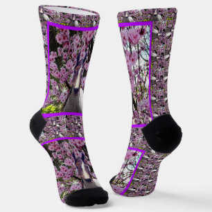 Cheeky Arab Pony And Blossoms, Crew Socks