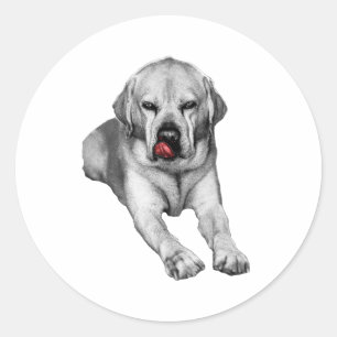 Cheeky Autumn Guardian Classic Round Sticker