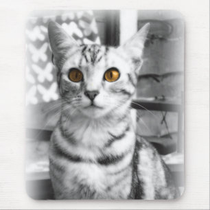 Cheeky Cat Mouse Pad