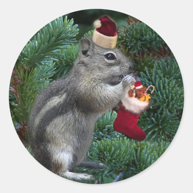 Cheeky Christmas Chipmunk Classic Round Sticker (Front)