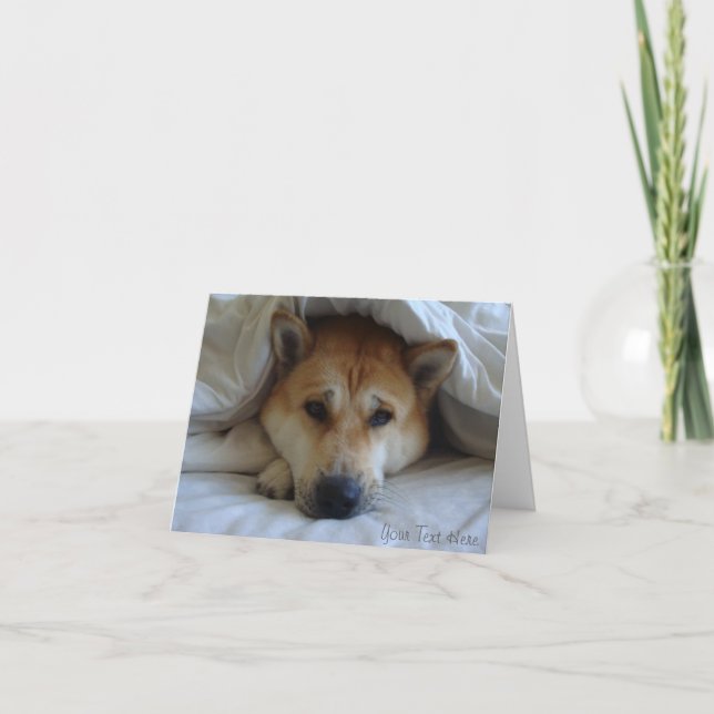 cheeky cute akita in bed original dog photo blank card (Front)