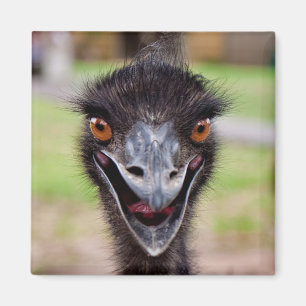 Cheeky Emu Fridge Magnet