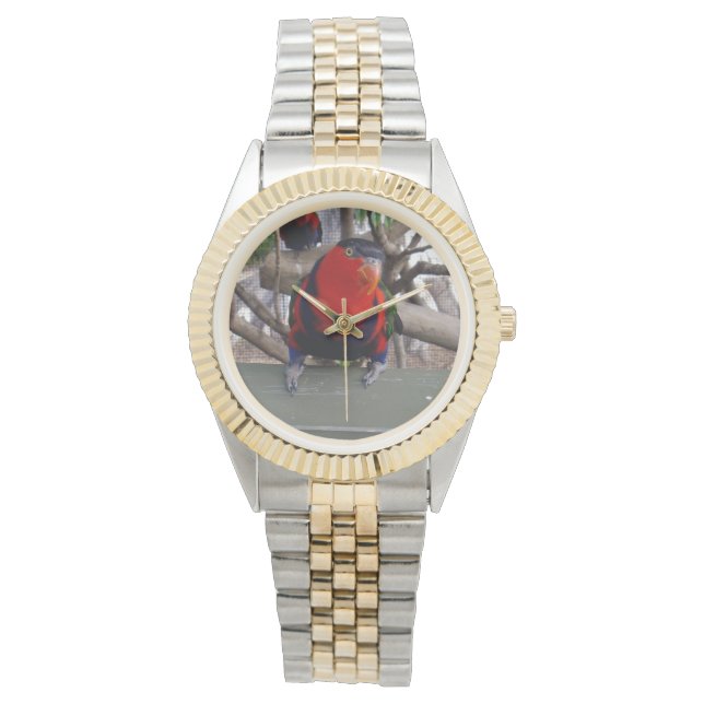 Cheeky Face Rainbow Lorikeet, Watch (Front)
