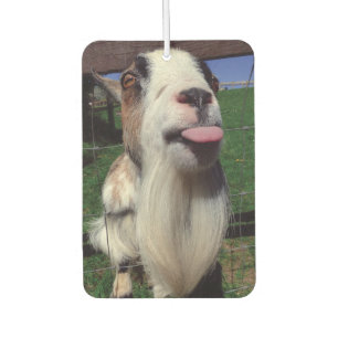 Cheeky Goat Air Freshener