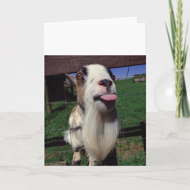 Cheeky Goat Greeting Card (Front)