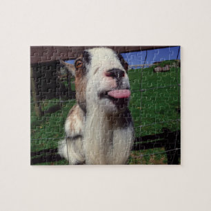 Cheeky Goat Novelty Jigsaw Puzzle