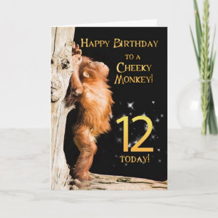 Cheeky monkey age 12 card
