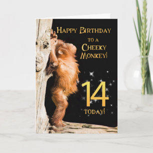 Cheeky monkey age 14 card