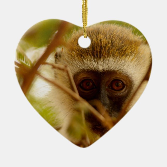 Cheeky Monkey. Ceramic Tree Decoration (Front)