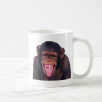 cheeky monkey chimp chimpanzee wild animal