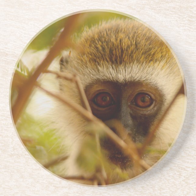 Cheeky Monkey. Coaster (Front)