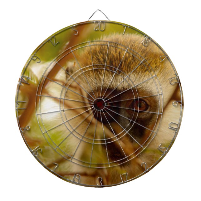 Cheeky Monkey. Dartboard (Front)