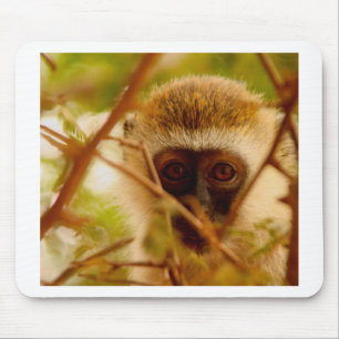 Cheeky Monkey. Mouse Pad