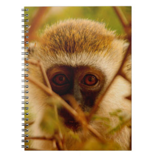Cheeky Monkey. Notebook