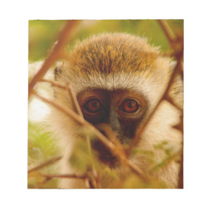 Cheeky Monkey. Notepad