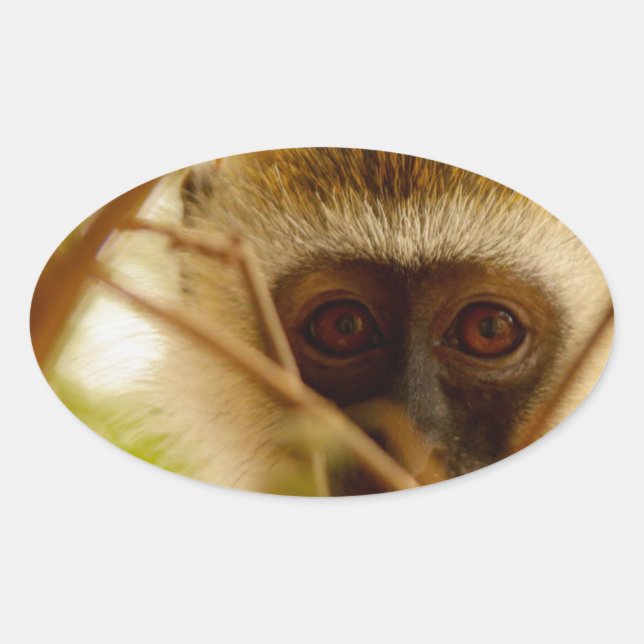 Cheeky Monkey. Oval Sticker (Front)