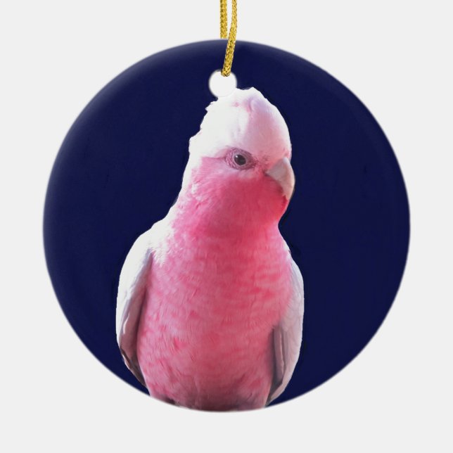 Cheeky pink and grey Australian parrot Ceramic Ornament (Front)