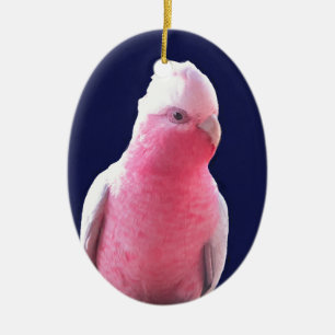 Cheeky pink and grey Australian parrot Ceramic Tree Decoration