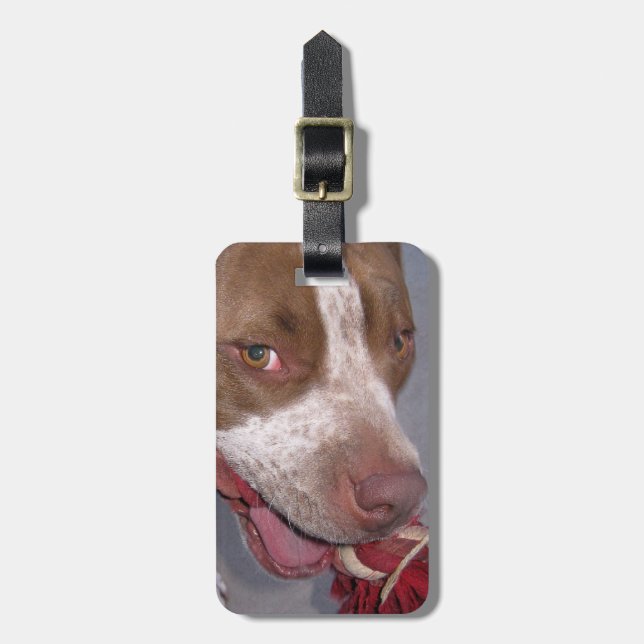 Cheeky Pitbull Luggage Tag (Front Vertical)