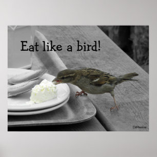 Cheeky Sparrow Poster